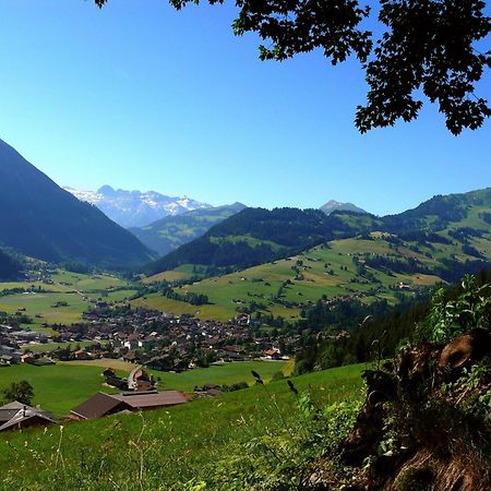 Sonnegg Hotel Zweisimmen Eksteriør bilde