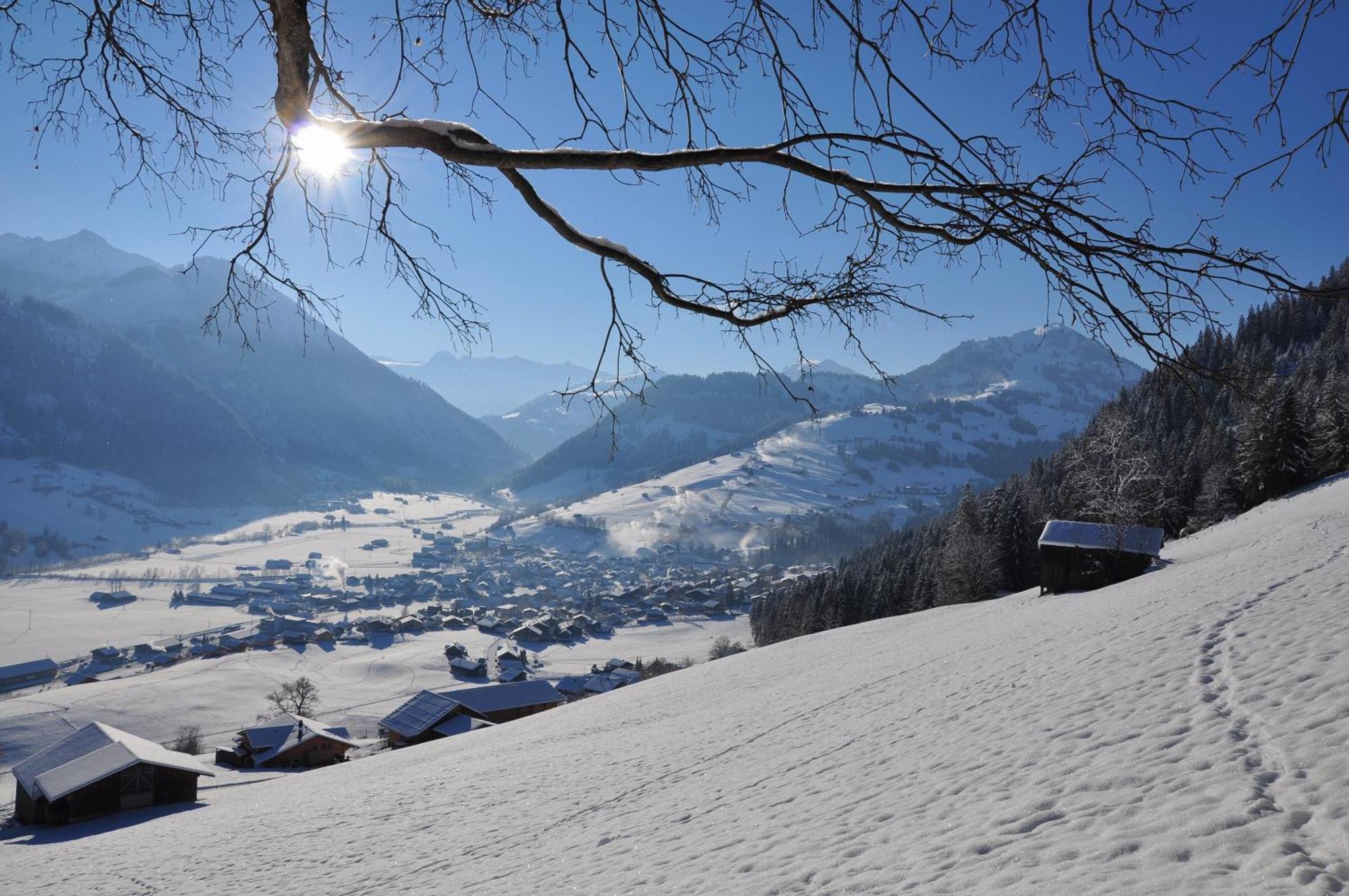 Sonnegg Hotel Zweisimmen Eksteriør bilde