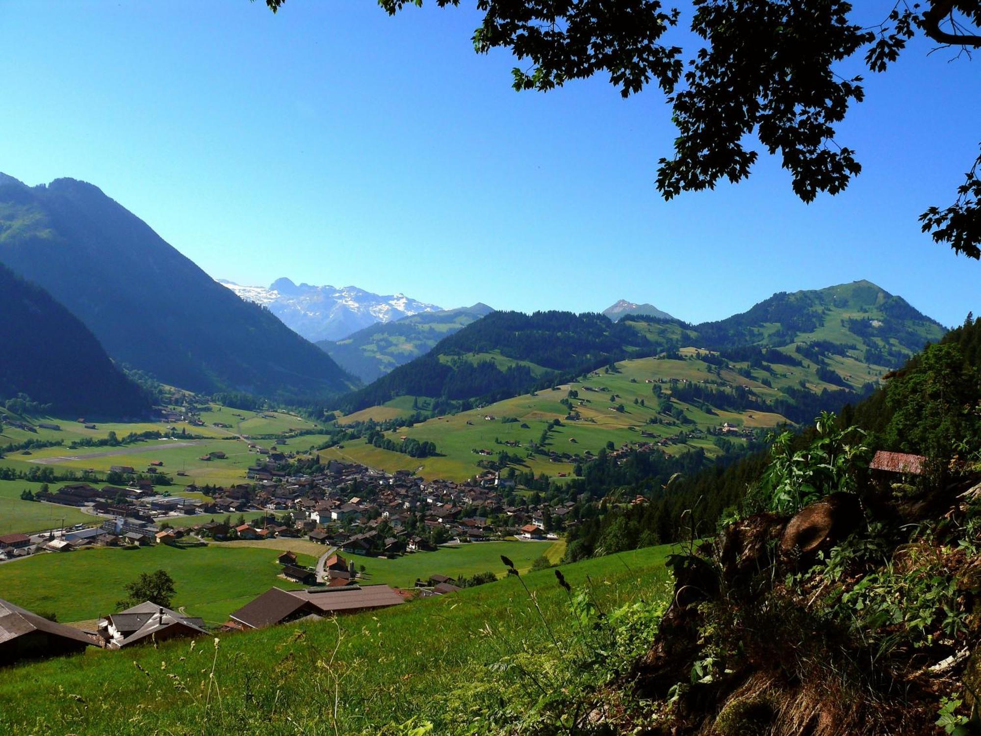 Sonnegg Hotel Zweisimmen Eksteriør bilde