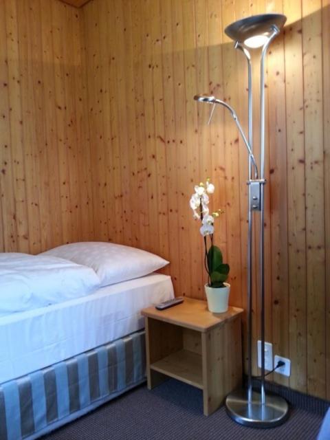 Sonnegg Hotel Zweisimmen Eksteriør bilde